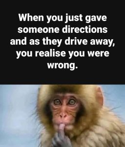 Stupid Bar Memes a0eWoDdssb