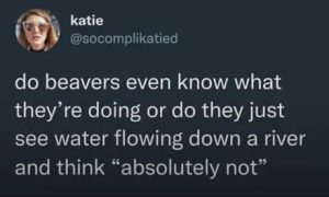 Stupid Bar Memes a0eWqVnssb