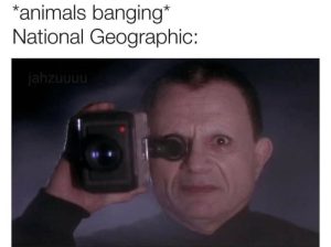 Stupid Bar Memes a0eWy7Zssb