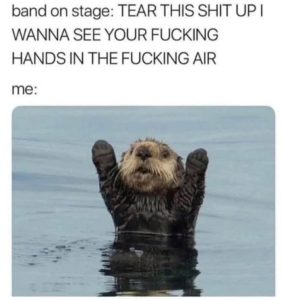 Stupid Bar Memes a6Z4mnbssb