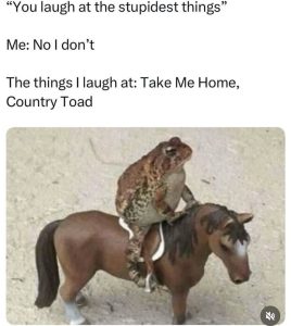 Stupid Bar Memes a87XDz3ssb
