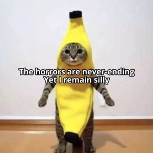 Stupid Bar Memes a9yN1Nmssb