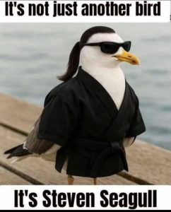 Stupid Bar Memes a9yNe61ssb