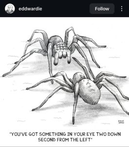 Stupid Bar Memes aAyN9pEssb