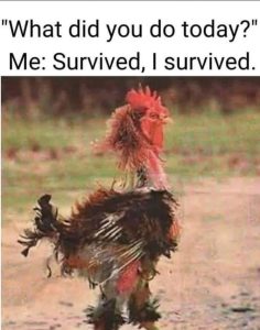 Stupid Bar Memes aAyNWX0ssb