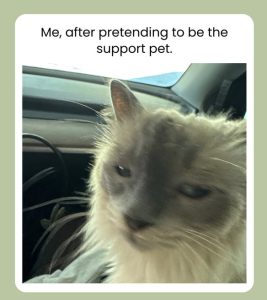 Stupid Bar Memes aD2N9xdssb