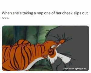 Stupid Bar Memes aE0NmBossb