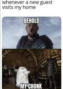 Stupid Bar Memes aKGnwB6ssb