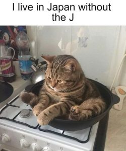 Stupid Bar Memes aLnNyjWssb