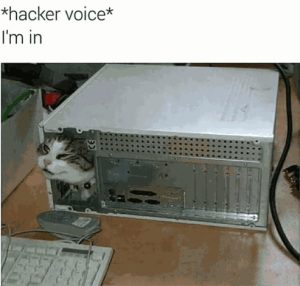 Stupid Bar Memes aND8r64ssb