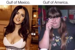 Stupid Bar Memes aQzNEXessb