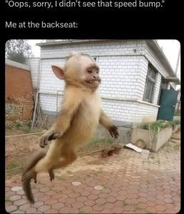 Stupid Bar Memes aQzNXYdssb