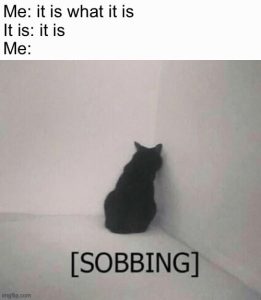 Stupid Bar Memes aQzNyyws700b