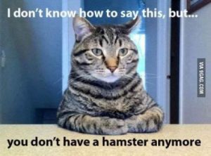 Stupid Bar Memes aVv4j2dssb