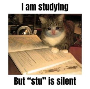 Stupid Bar Memes aYQn14qssb