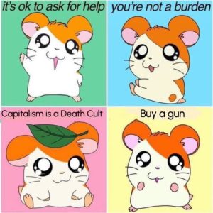 Stupid Bar Memes aZZV6xWssb