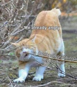 Stupid Bar Memes aZZVnq9ssb