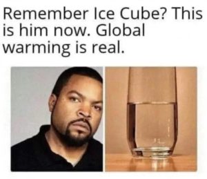 Stupid Bar Memes ae9P2dOssb