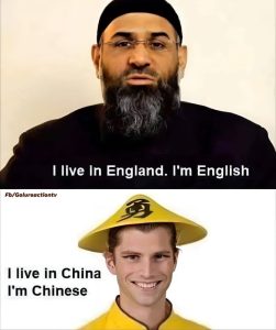 Stupid Bar Memes agmZQbxssb