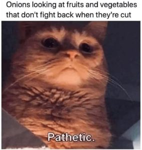 Stupid Bar Memes agmZe4gssb
