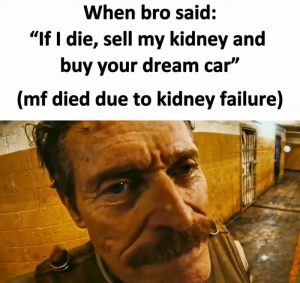 Stupid Bar Memes amobdVjssb