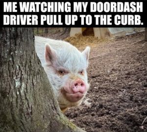 Stupid Bar Memes aoyqb82ssb