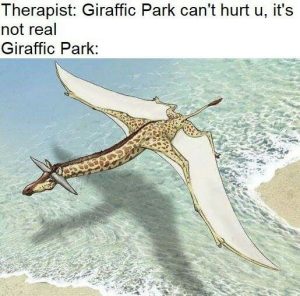Stupid Bar Memes aryr2OVssb