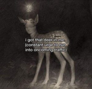 Stupid Bar Memes aryrw85ssb
