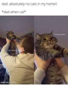 Stupid Bar Memes axynLrMssb