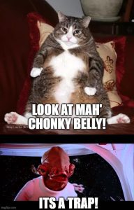 Stupid Bar Memes ayNZ79Mssb