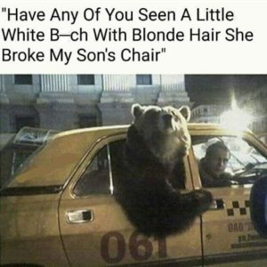 Stupid Bar Memes b1870aa3f