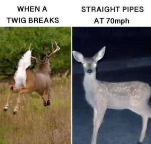 Stupid Bar Memes b45cce421622ba