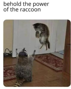 Stupid Bar Memes d0bf5c9d58d