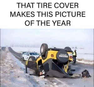 Stupid Bar Memes dbe2cc3fb42b
