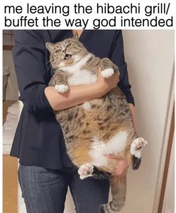Stupid Bar Memes dd4f4747d2ef