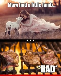 Stupid Bar Memes e2548cd58fda58