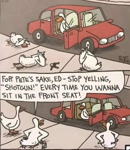 Stupid Bar Memes geesesnsdrivingsca