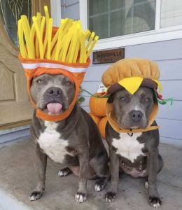 Stupid Bar Memes halloweesscostume