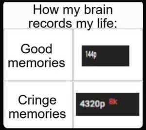 Stupid Bar Memes howsesgoodsmemo