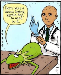 Stupid Bar Memes kermitsdoctorsused