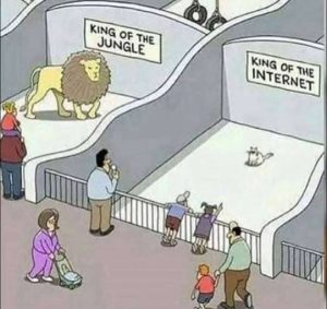 Stupid Bar Memes kingsgsofsinternet