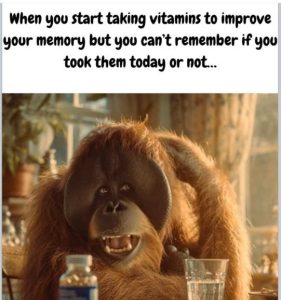 Stupid Bar Memes takvesmemoryscan