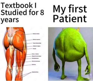 Stupid Bar Memes tesfors8syearssfir