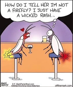 Stupid Bar Memes 08683s10144
