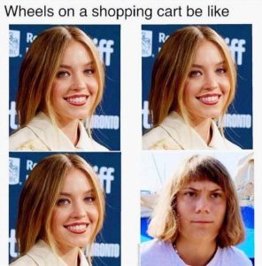Stupid Bar Memes 195b0ef117ef