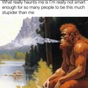 Stupid Bar Memes 2025s11s27sasAMdai