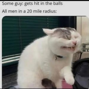Stupid Bar Memes 32a889c93d2f1