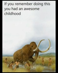 Stupid Bar Memes 43a96891f9b