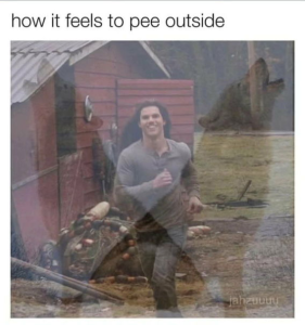 Stupid Bar Memes 562d8bdc718a5