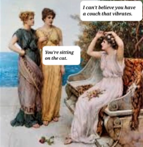 Stupid Bar Memes 6857219sn